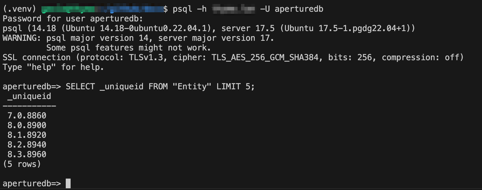 psql CLI example