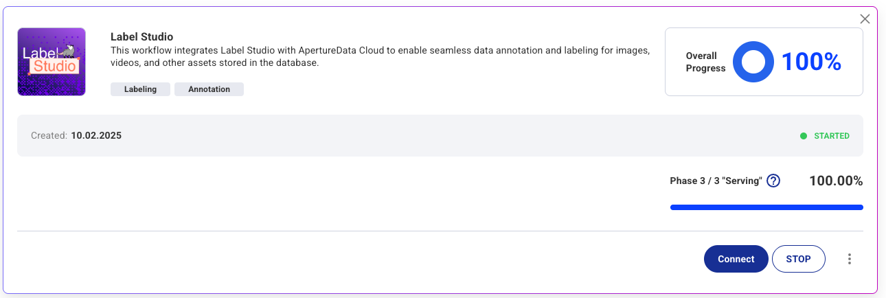 Continuous workflows that have an associated interface port can be connected to by clicking on the Connect button on the workflows page. This will take you to the main server web page for the workflow.
