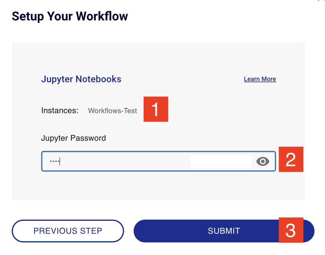 Jupyter Notebooks setup screen