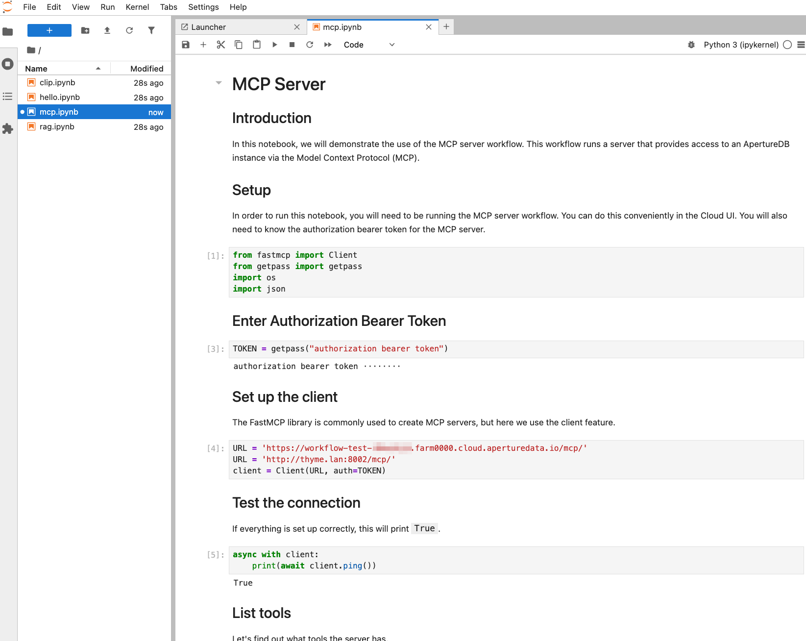 Jupyter notebook for MCP server